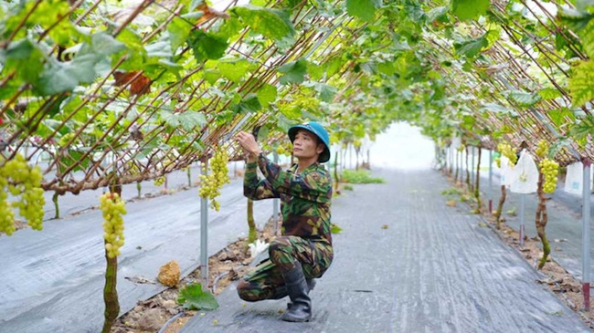 Quảng Ninh: Giảm nghèo bằng nội lực và phát triển bao trùm - Ảnh 3.