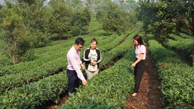 Tín dụng chính sách - động lực giảm nghèo bền vững ở Sơn La - Ảnh 1.