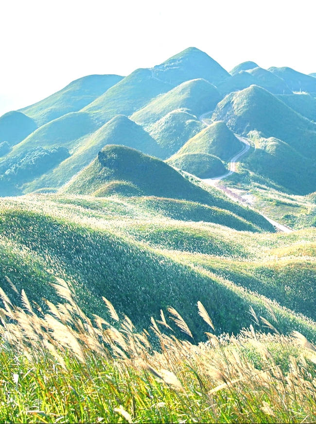 Khai thác hiệu quả di sản văn hóa, mở đường giảm nghèo bền vững - Ảnh 2. Khai thác hiệu quả di sản văn hóa, mở đường giảm nghèo bền vững - Ảnh 2.