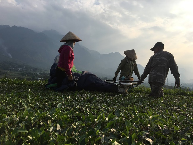 Phú Thọ đã đạt những kết quả vượt bậc về giảm nghèo bền vững - Ảnh 1.