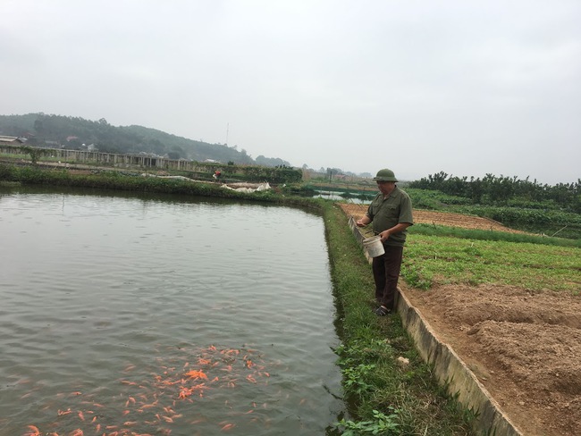 Phú Thọ đã đạt những kết quả vượt bậc về giảm nghèo bền vững - Ảnh 2.