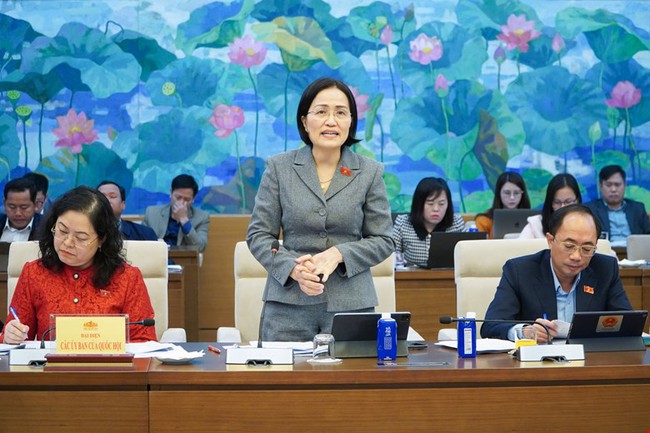 Chương trình Mục tiêu quốc gia tích hợp: Đại biểu Quốc hội đề nghị xem xét chỉ tiêu số xã nghèo thoát nghèo đến năm 2030 - Ảnh 3.