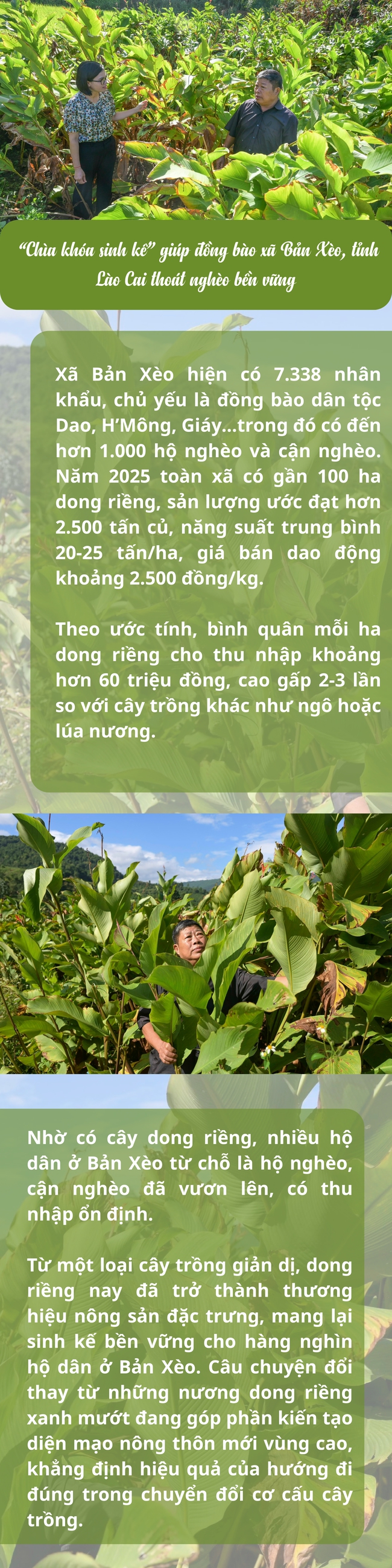 Infographic: Cây dong riềng - “chìa khóa sinh kế” giúp thoát nghèo bền vững - Ảnh 1. Infographic: Cây dong riềng - “chìa khóa sinh kế” giúp thoát nghèo bền vững - Ảnh 1.