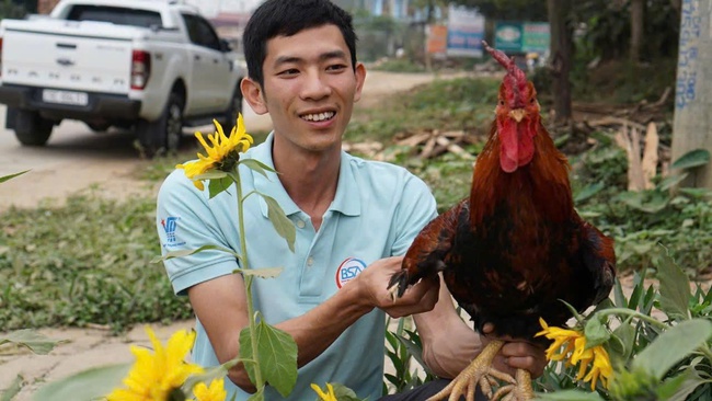 Gìn giữ giống gà tiến Vua: Hướng đi mới trong bảo tồn văn hóa gắn với phát triển kinh tế hộ và giảm nghèo bền vững - Ảnh 1. Gìn giữ giống gà tiến Vua: Hướng đi mới trong bảo tồn văn hóa gắn với phát triển kinh tế hộ và giảm nghèo bền vững - Ảnh 1.