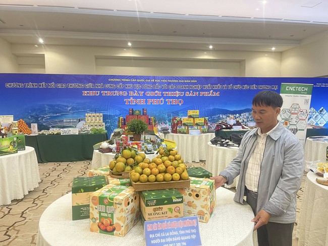 Quýt Mường Kịt: Đặc sản mở hướng giảm nghèo cho người dân vùng cao Lai Đồng - Ảnh 1.