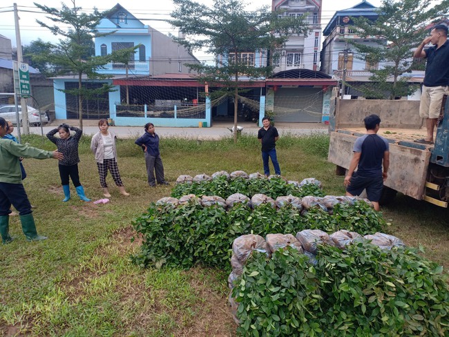 Thái Nguyên: Xã Phú Đình nỗ lực giảm nghèo bền vững sau sáp nhập - Ảnh 1.