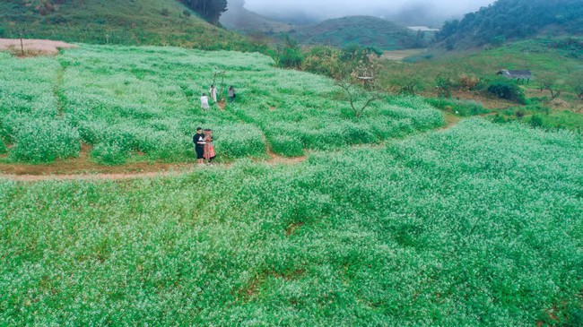 Sơn La: Ngành du lịch đã phát huy vai trò quan trọng trong nền kinh tế, góp phần xóa đói giảm nghèo, bảo tồn văn hóa và bảo vệ môi trường - Ảnh 1. Sơn La: Ngành du lịch đã phát huy vai trò quan trọng trong nền kinh tế, góp phần xóa đói giảm nghèo, bảo tồn văn hóa và bảo vệ môi trường - Ảnh 1.