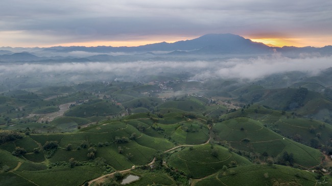 Giữ lửa nghề xao chè bằng tay của người Mường Long Cốc, hành trình làm chè sạch gắn với bảo tồn văn hóa và phát triển du lịch bền vững - Ảnh 10. Giữ lửa nghề xao chè bằng tay của người Mường Long Cốc, hành trình làm chè sạch gắn với bảo tồn văn hóa và phát triển du lịch bền vững - Ảnh 10.