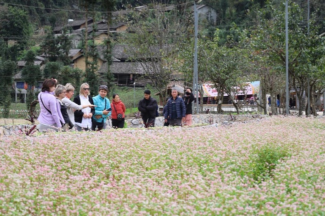 Tuyên Quang: Làng Lũng Cẩm Trên xóa đói giảm nghèo nhờ làm du lịch - Ảnh 4. Tuyên Quang: Làng Lũng Cẩm Trên xóa đói giảm nghèo nhờ làm du lịch - Ảnh 4.