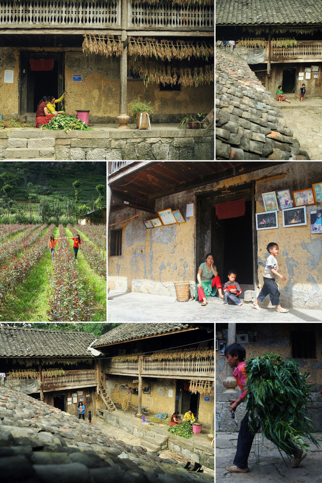 Tuyên Quang: Làng Lũng Cẩm Trên xóa đói giảm nghèo nhờ làm du lịch - Ảnh 3. Tuyên Quang: Làng Lũng Cẩm Trên xóa đói giảm nghèo nhờ làm du lịch - Ảnh 3.