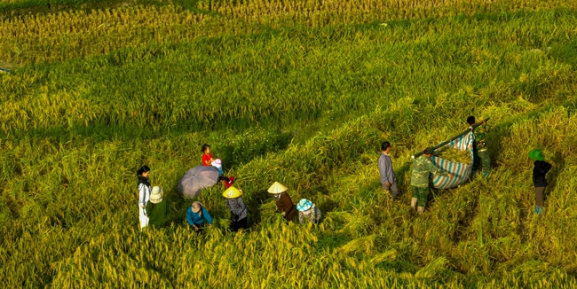 Phát triển sản xuất – nền tảng tạo sinh kế bền vững cho vùng đồng bào dân tộc thiểu số và miền núi - Ảnh 1.