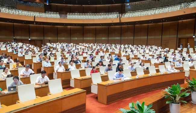 ĐBQH kiến nghị tăng cường kiểm soát, quản lý hoạt động quảng cáo đối với những người nổi tiếng - Ảnh 2. ĐBQH kiến nghị tăng cường kiểm soát, quản lý hoạt động quảng cáo đối với những người nổi tiếng - Ảnh 2.