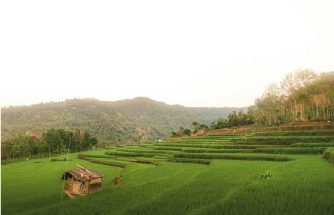 Nha Trang lọt top các điểm đến “du lịch chậm” hàng đầu châu Á - Ảnh 3. Nha Trang lọt top các điểm đến “du lịch chậm” hàng đầu châu Á - Ảnh 3.