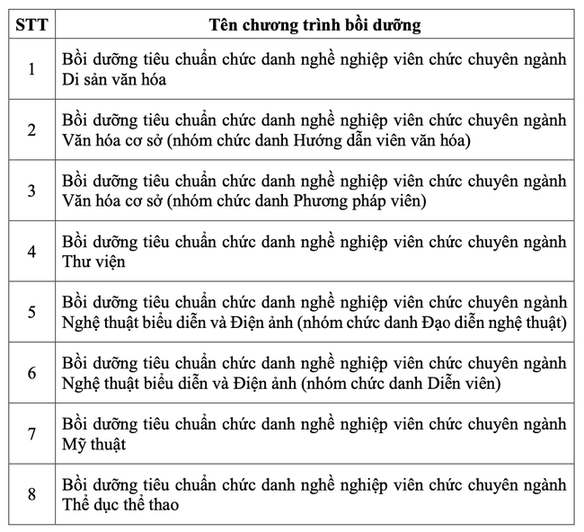 Tổ chức bồi dưỡng theo tiêu chuẩn chức danh nghề nghiệp viên chức ngành Văn hóa, Thể thao và Du lịch - Ảnh 2. Tổ chức bồi dưỡng theo tiêu chuẩn chức danh nghề nghiệp viên chức ngành Văn hóa, Thể thao và Du lịch - Ảnh 2.