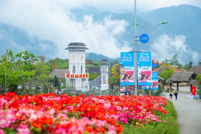 Sa Pa tấp nập khách đến du ngoạn Lễ hội Hoa hồng Fansipan - Ảnh 1. Sa Pa tấp nập khách đến du ngoạn Lễ hội Hoa hồng Fansipan - Ảnh 1.