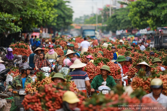 Phát triển du lịch trải nghiệm “Vải thiều Lục Ngạn - Tinh hoa trái cây Việt" - Ảnh 4. Phát triển du lịch trải nghiệm “Vải thiều Lục Ngạn - Tinh hoa trái cây Việt" - Ảnh 4.