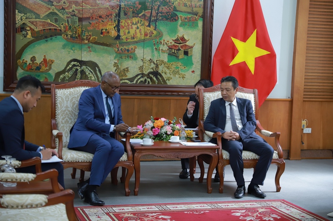 Thứ trưởng Hoàng Đạo Cương tiếp và làm việc với ứng cử viên Tổng giám đốc UNESCO - Ảnh 1. Thứ trưởng Hoàng Đạo Cương tiếp và làm việc với ứng cử viên Tổng giám đốc UNESCO - Ảnh 1.