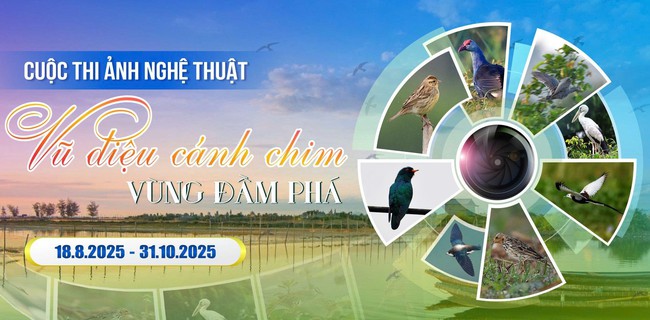 Phát động Cuộc thi ảnh nghệ thuật "Vũ điệu cánh chim vùng đầm phá" - Ảnh 1. Phát động Cuộc thi ảnh nghệ thuật "Vũ điệu cánh chim vùng đầm phá" - Ảnh 1.