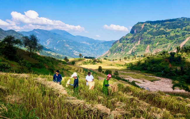 Lào Cai: Đẩy mạnh truyền thông nhằm thay đổi và chuyển biến nhận thức trong giảm nghèo - Ảnh 2.