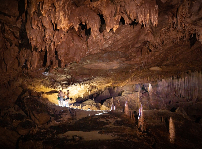 Động Phong Nha: Khi thiên nhiên hóa thành tác phẩm nghệ thuật - Ảnh 14.