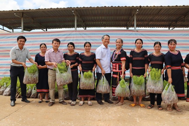 Phiên chợ "0 đồng": Chia sẻ khó khăn, giúp người dân phát triển kinh tế bền vững - Ảnh 2. Phiên chợ "0 đồng": Chia sẻ khó khăn, giúp người dân phát triển kinh tế bền vững - Ảnh 2.
