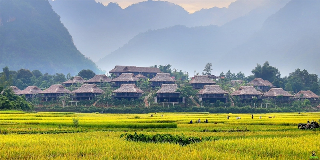 Phong trào "Toàn dân đoàn kết xây dựng đời sống văn hóa": Nền tảng vững chắc để Việt Nam vươn mình - Ảnh 3. Phong trào "Toàn dân đoàn kết xây dựng đời sống văn hóa": Nền tảng vững chắc để Việt Nam vươn mình - Ảnh 3.