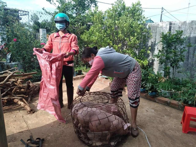 Phát triển giáo dục nghề nghiệp gắn với tạo việc làm, sinh kế bền vững cho vùng nghèo, vùng khó khăn - Ảnh 1. Phát triển giáo dục nghề nghiệp gắn với tạo việc làm, sinh kế bền vững cho vùng nghèo, vùng khó khăn - Ảnh 1.