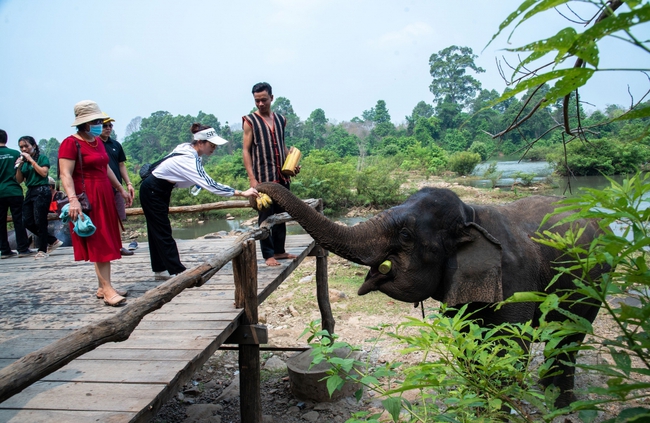 Đắk Lắk ban hành Kế hoạch phát triển du lịch năm 2026 - Ảnh 1.