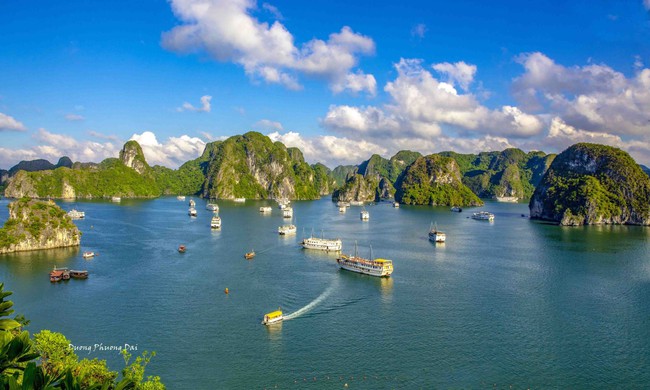 Quảng Ninh: Đổi mới khoa học, công nghệ, chuyển đổi số tạo động lực bứt phá cho phát triển văn hóa - Ảnh 1.