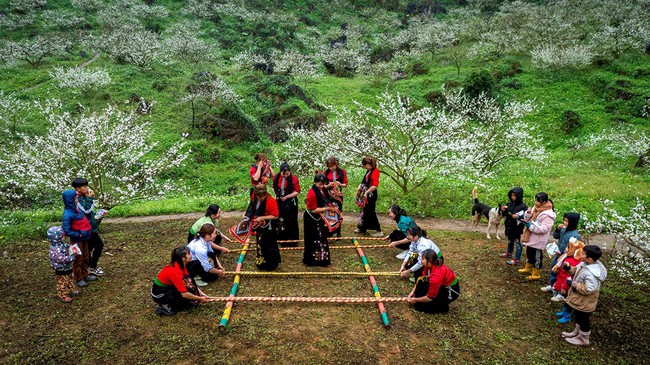 Điểm báo hoạt động ngành Văn hóa, Thể thao và Du lịch ngày 12/02/2026 - Ảnh 1.