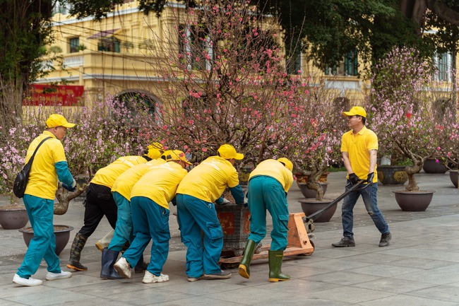 Sun Group dành tặng Hà Nội không gian hoa xuân rực rỡ tại khu vực tượng đài Lý Thái Tổ - Ảnh 5.