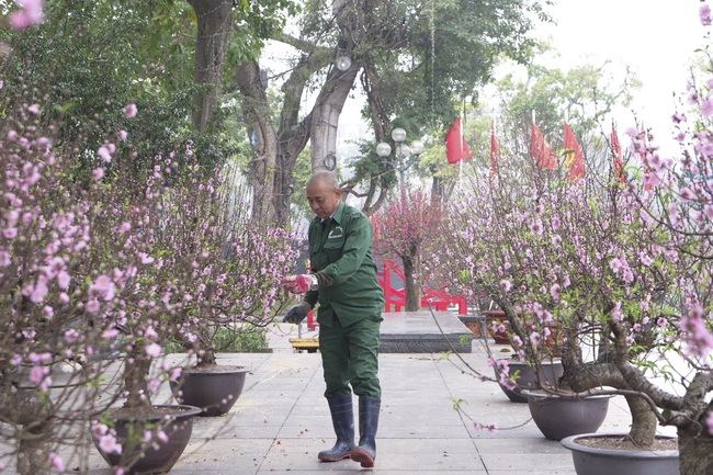 Sun Group dành tặng Hà Nội không gian hoa xuân rực rỡ tại khu vực tượng đài Lý Thái Tổ - Ảnh 2.