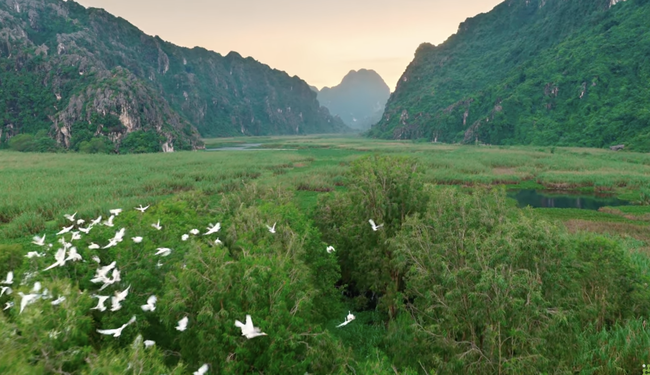 Khi âm nhạc quốc tế trở thành cầu nối quảng bá du lịch Việt Nam ra thế giới - Ảnh 4.