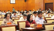 HĐND TP Hồ Chí Minh bàn giải pháp bảo tồn các di sản văn hóa