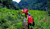Quảng Bình nói không với các dự án đầu tư xây dựng tại vùng lõi vườn quốc gia Phong Nha – Kẻ Bàng
