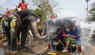Lễ hội nổi nhất Thái Lan đối mặt nguy cơ bất ngờ