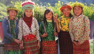 Ánh sáng từ tâm - câu chuyện sinh động về thiên nhiên và con người Việt Nam