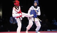 Gần 300 vận động viên thi đấu tại Giải vô địch Taekwondo các câu lạc bộ tỉnh Gia Lai