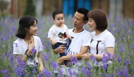 Phú Yên: Phấn đấu 95% gia đình đạt tiêu chuẩn gia đình văn hóa trong năm 2020