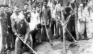 Chủ tịch Hồ Chí Minh và vấn đề bảo vệ môi trường sống