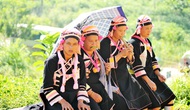 Tổ chức tập huấn nâng cao năng lực về công tác bảo tồn, phát huy bản sắc văn hóa dân tộc thiểu số tại Lai Châu
