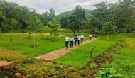 Quảng Nam: Mở rộng không gian bảo tồn Mỹ Sơn