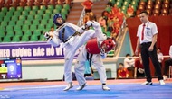Hơn 300 VĐV tranh tài tại Giải Vô địch Taekwondo quốc gia 2020