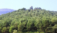 Phê duyệt nhiệm vụ Quy hoạch bảo tồn, tôn tạo di tích lịch sử - văn hóa Địa điểm Hội thề Lũng Nhai