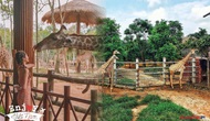 Khám phá 3 vườn thú safari ở Việt Nam: Tận mắt chiêm ngưỡng thế giới hoang dã từ thiên nhiên 