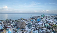 Quản lý rác thải nhựa đại dương trong lĩnh vực du lịch