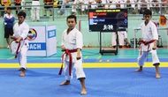 340 vận động viên tham gia Giải vô địch Karate tỉnh Gia Lai