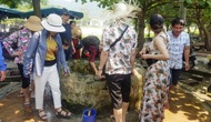 Quảng Nam: Khai thác huyền tích thúc đẩy du lịch