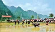Tuyên Quang: Chuẩn bị lễ hội đầu xuân