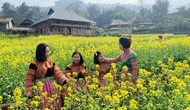 Lào Cai: Cần tiếp thêm động lực để phục hồi ngành du lịch